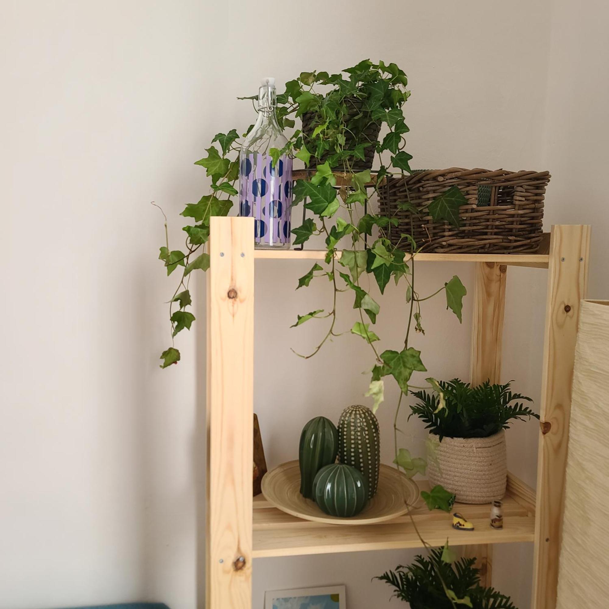 Mariamora Apartment Bari Luaran gambar